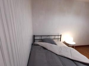 Appartements Appartement avec 3 chambres Nantes, Pont du cens : photos des chambres