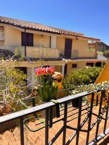 Villa Ines Casa Vacanze img21