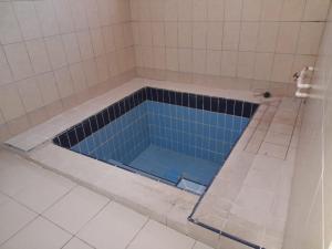 Aydın palace termal