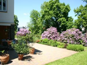 Holiday homes for two people, with a swimming pool, in the Ore Mountains