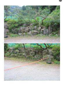 White Mountain Lodge in the Forest