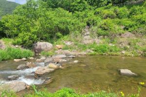 White Mountain Lodge in the Forest