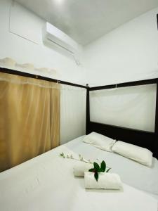 Surferce dream guest house