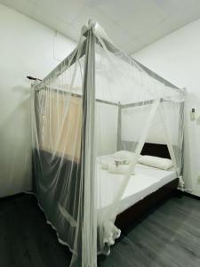 Surferce dream guest house