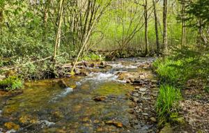 Maisons de vacances Amazing Home In Haybes With Wifi : photos des chambres