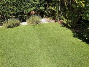 Campings La cabane des reves : photos des chambres