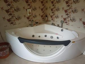 Skyway Apple orchard