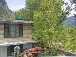 Skyway Apple orchard