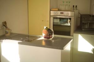 Sehr beliebt! Ferienhaus zur Donau