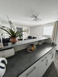Appartement esprit jeune