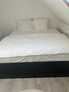 Only For Tomorrowland