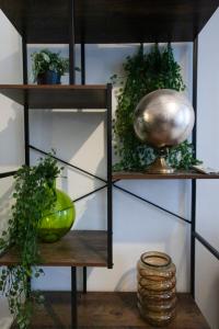 Sublime appart plein centre