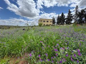 Zs Farm Kamouni - WIFI Fibre - Jacuzzi on request