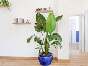 Susanna Boutique Home