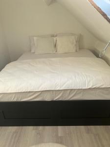 Only For Tomorrowland