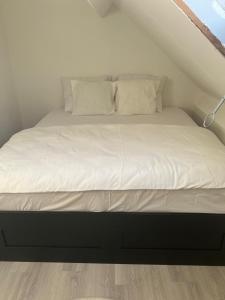 Only For Tomorrowland