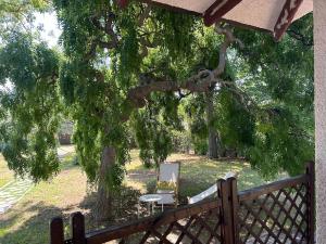 Casa Rosa, country villa with swimming pool