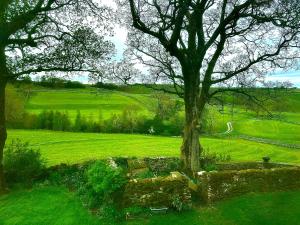 The Green Hayloft, Lakes & Dales