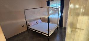 Amani Oasis - 1BR Furnished, Restaurant & Bar, Rooftop terrace