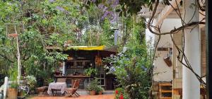 Family house - stay on pine hill Dalat