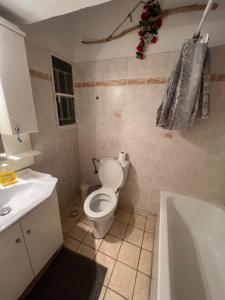 Bohemian Athens home