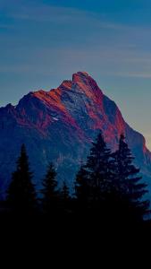 Beautiful 2 room apartment in a central location