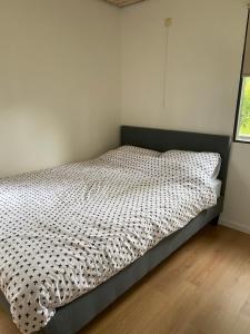 De Mosk - Camping Botniahiem - Damwoude - Dichtbij Dokkum