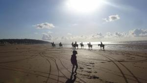 Vue sur Marais et 500 m de la plage
