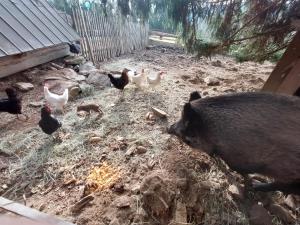 Hájenka Nebe-apartmán NEBE