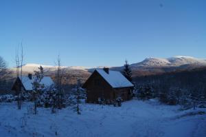 Domek Pod Jawornikiem II