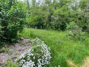 Appartements L'atelier aux fleurs sauvages Rebeuse Full of nature : photos des chambres