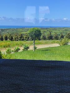 Natural Park Heights