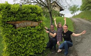 Un pied devant lautre