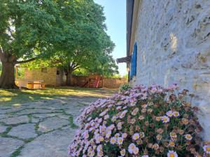 The Old Stone House Dida Jure