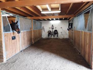 Chalets Le bol d-air : photos des chambres