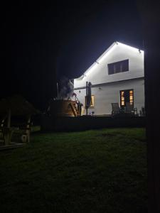 Vila Muntelui Colibita