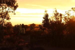Countryside Cabin in Algarrobo