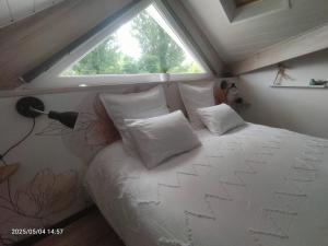 Appartements Au bord du vieux Moulin : photos des chambres