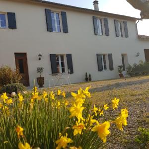 B&B / Chambres d'hotes Chic et nature : photos des chambres