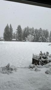 Chalé in Chapelco Golf