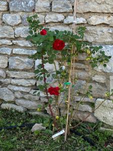 Maisons de vacances The charming private Farmhouse at La Grenouillere : photos des chambres