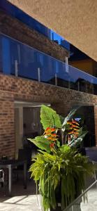 Palanga Classic White Studio