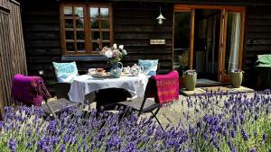 Cottage near Corfe & Jurassic Coast