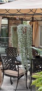 Palanga White Studio Old Town