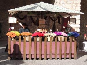 Frente a bahía de Peñiscola