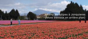Maisons de vacances Les Garrigues de l'Oluke - Spa privatif, Piscine, Tennis : photos des chambres