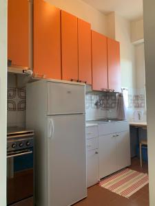 Gabbiano Baia Flaminia