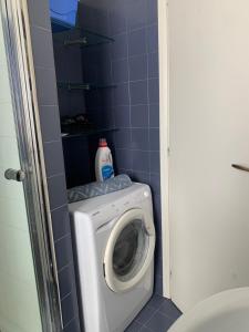 Gabbiano Baia Flaminia