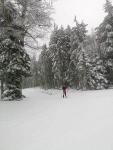 Chalets Le 36 Chalet 6 pers Le Mont-Dore Sauna Ski Hiking : photos des chambres