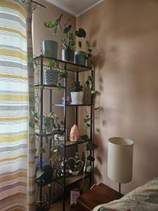 Gracious stay shared apartment